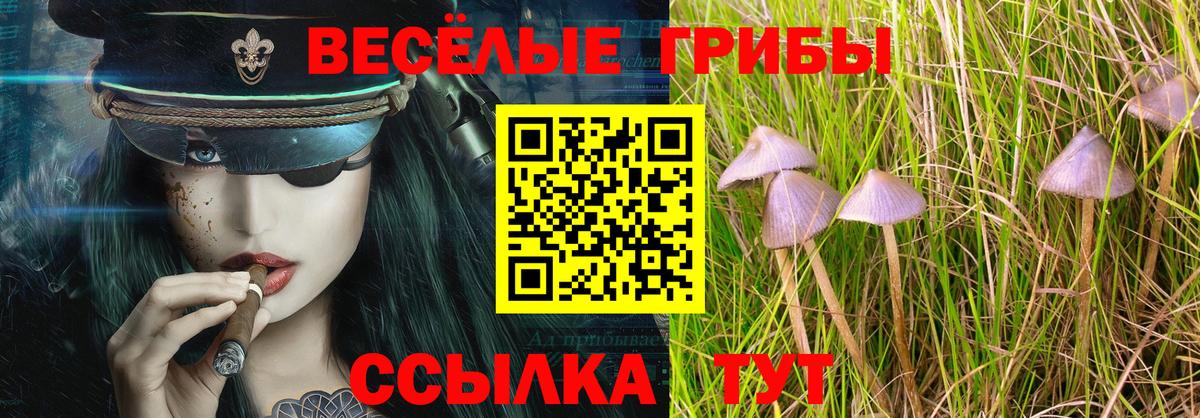 Галлюциногенные грибы Magic Shrooms Славгород