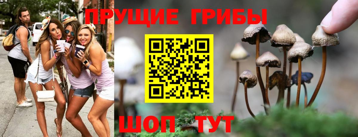 Псилоцибиновые грибы прущие грибы  Вход с VPN  Славгород  Галлюциногенные грибы ЛСД 